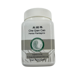 车前草 / Che Qian Cao
