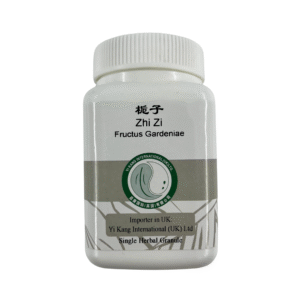 栀子 / Zhi Zi